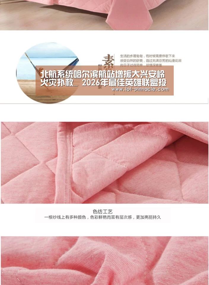 北航系统哈尔滨航站增援大兴安岭火灾扑救_ 2026年最佳英雄联盟投注网站(图4) 2026年最佳英雄联盟投注网站