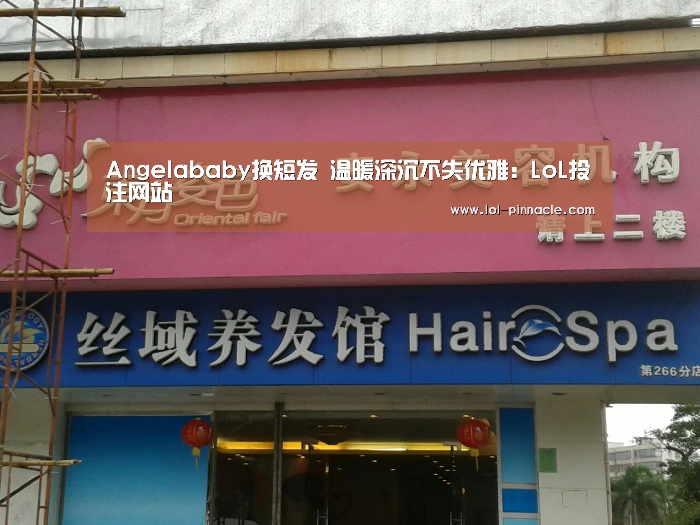 Angelababy换短发 温暖深沉不失优雅:LoL投注网站 (图1) LoL投注网站